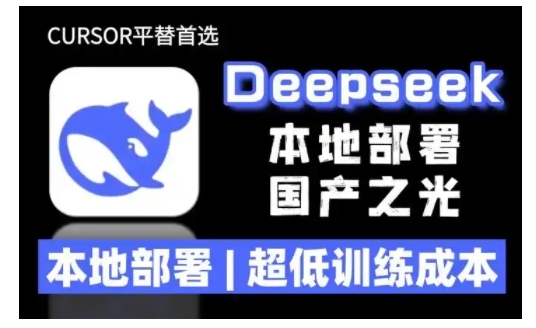 2025年deepseek R1 大型模型本地安装部署(文件+教程)本地部署，超低训练成本-皓收集 | 网创宝典