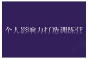 个人影响力打造训练营，掌握公域引流、私域运营、产品定位等核心技能，实现从0到1的个人IP蜕变--皓收集 | 网创宝典
