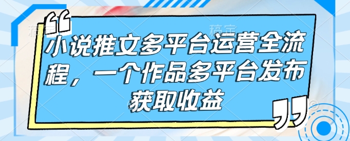 小说推文多平台运营全流程，一个作品多平台发布获取收益-皓收集 | 网创宝典