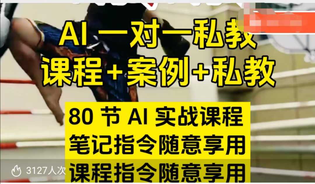 AI指令实战课，课程+案例，80节AI实战课程，笔记指令随意享用，课程指令随意享用-皓收集 | 网创宝典