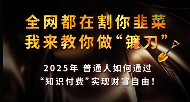 全网都在割你韭菜，我来教你做镰刀，2025年普通人如何通过 知识付费 实现财F自由【揭秘】-皓收集 | 网创宝典