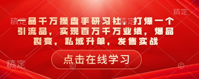 一品千万操盘手研习社，打爆一个引流品，实现百万千万业绩，爆品裂变，私域升单，发售实战-皓收集 | 网创宝典