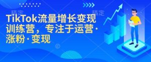 TikTok流量增长变现训练营，专注于运营·涨粉·变现--皓收集 | 网创宝典