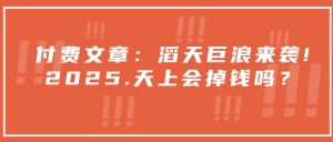 付费文章：滔天巨浪来袭！2025天上会掉钱吗？--皓收集 | 网创宝典