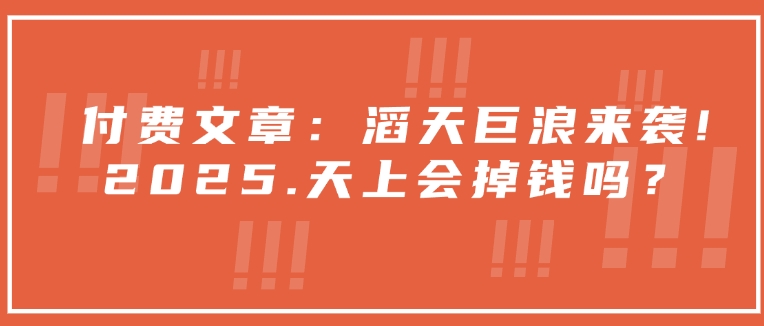 付费文章：滔天巨浪来袭！2025天上会掉钱吗？-皓收集 | 网创宝典