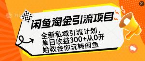 闲鱼淘金私域引流计划，从0开始玩转闲鱼，副业也可以挣到全职的工资--皓收集 | 网创宝典