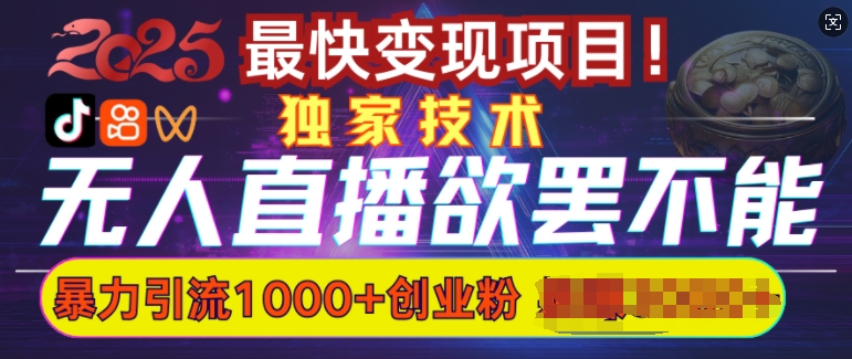 欲罢不能的无人直播引流，超暴力日引流1000+高质量精准创业粉-皓收集 | 网创宝典