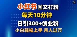 2月小红书图文打粉，每天10分钟，日引300+创业粉，小白轻松月入过W--皓收集 | 网创宝典
