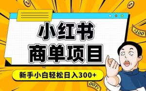 小红书千粉商单，稳定快速变现项目，实现月入6-8k并不是很难--皓收集 | 网创宝典