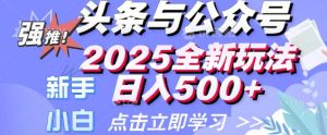 头条与公众号2025全新玩法日入多张 小白新手都可以轻松上手 操作简单--皓收集 | 网创宝典