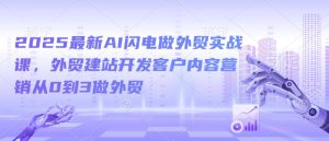 2025最新AI闪电做外贸实战课，外贸建站开发客户内容营销从0到3做外贸--皓收集 | 网创宝典