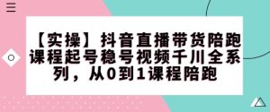 【实操】抖音直播带货陪跑课程起号稳号视频千川全系列，从0到1课程陪跑--皓收集 | 网创宝典