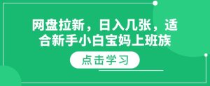 网盘拉新，日入几张，适合新手小白宝妈上班族--皓收集 | 网创宝典