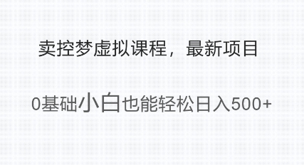 最新小众项目，利用人们猎奇的心理卖控梦虚拟课程，0基础小白也能轻松日入多张-皓收集 | 网创宝典