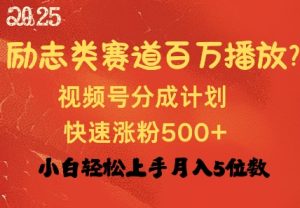 励志类赛道也能百万播放，快速涨粉500+视频号变现月入过W--皓收集 | 网创宝典