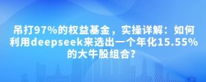 付费文章：吊打97%的权益基金，实操详解：如何利用deepseek来选出一个年化15.55%的大牛股组合?--皓收集 | 网创宝典