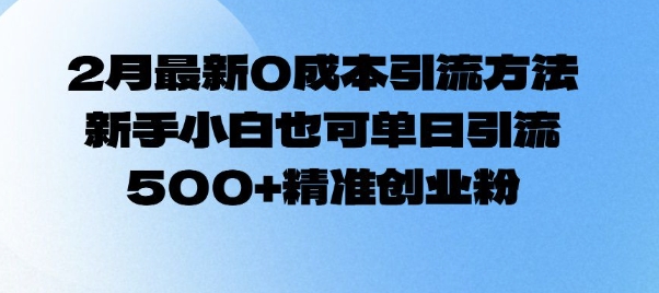 2月最新0成本引流方法，新手小白也可单日引流500+精准创业粉-皓收集 | 网创宝典