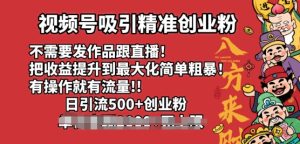 视频号吸引精准创业粉，不需要发作品跟直播，有操作就有流量，日引500+创业粉--皓收集 | 网创宝典