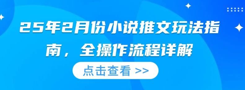 25年2月份小说推文玩法指南，全操作流程详解-皓收集 | 网创宝典