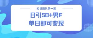 男粉引流新方法不违规，当日即可变现--皓收集 | 网创宝典
