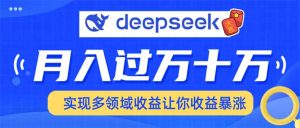 用DeepSeek席卷各大平台，快速上手实现多领域，让你收入猛增--皓收集 | 网创宝典