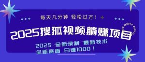 2025最新看视频躺赚收益项目 日赚1000--皓收集 | 网创宝典