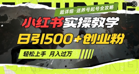 2月小红书最新日引500+创业粉实操教学【超详细】小白轻松上手，月入1W+，附小红书养号起号SOP-皓收集 | 网创宝典