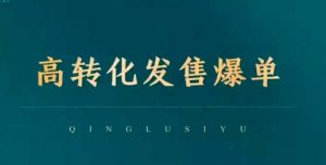 高转化发售爆单，引爆私域成交，打破运营全链--皓收集 | 网创宝典