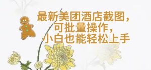【轻云】最新美团酒店截图，可批量操作，小白也能轻松上手--皓收集 | 网创宝典