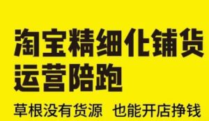 淘宝精细化铺货运营陪跑(部分更新至2025)，草根没有货源 也能开店挣钱--皓收集 | 网创宝典
