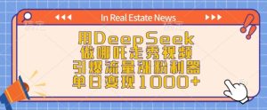 用DeepSeek做哪吒走秀视频，引爆流量涨粉利器，单日变现1k--皓收集 | 网创宝典