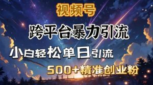 跨平台暴力引流，私域完美闭环，日引500+精准创业粉--皓收集 | 网创宝典