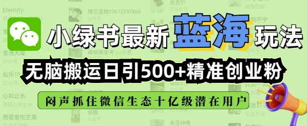 小绿书无脑搬运引流，全自动日引500精准创业粉，微信生态内又一个闷声发财的机会-皓收集 | 网创宝典