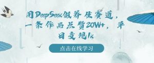 用DeepSeek做养生赛道，一条作品点赞20W+，单日变现1k--皓收集 | 网创宝典