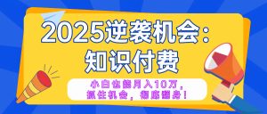 2025逆袭项目——知识付费，小白也能月入10万年入百万，抓住机会彻底翻…--皓收集 | 网创宝典