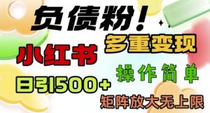 2月最新小红书日引500+负债粉，多重变现轻松过W，矩阵放大无上限--皓收集 | 网创宝典