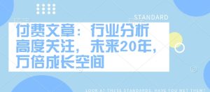 付费文章：行业分析 高度关注，未来20年，万倍成长空间--皓收集 | 网创宝典