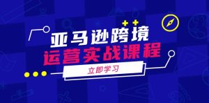 亚马逊跨境运营实战课程：涵盖亚马逊运营、申诉、选品等多个方面--皓收集 | 网创宝典