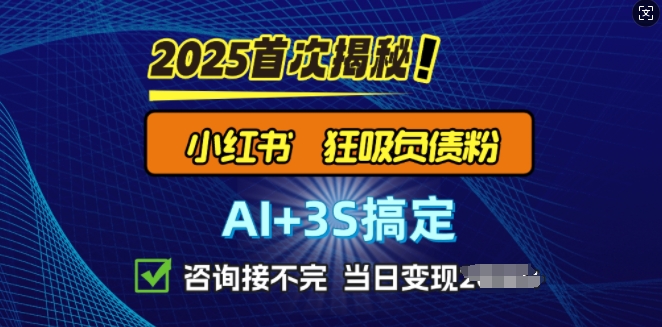 2025引流天花板：最新小红书狂暴负债粉思路，咨询接不断，当日入多张-皓收集 | 网创宝典