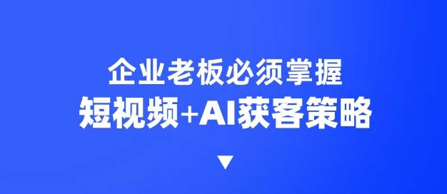 企业短视频AI获客霸屏流量课，6步短视频+AI突围法，3大霸屏抢客策略-皓收集 | 网创宝典