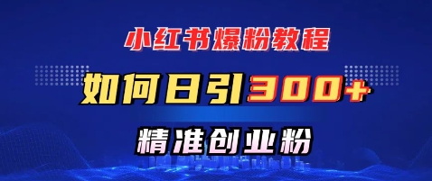 小红书爆粉教程，如何日引300+创业粉，快速实现精准变现-皓收集 | 网创宝典