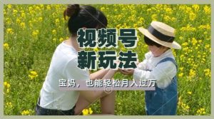 利用车祸意外视频，撸视频号分成收益，轻松月入过W，操作简单，适合宝妈，上班族--皓收集 | 网创宝典
