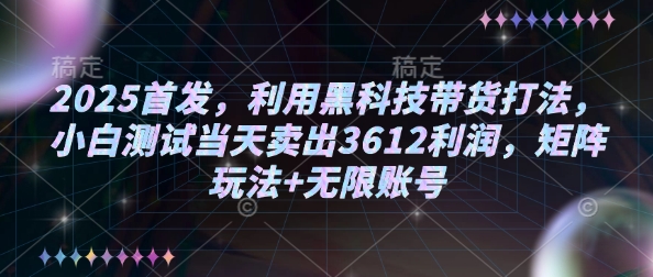 2025首发，利用黑科技带货打法，小白测试当天卖出3612利润，矩阵玩法+无限账号【揭秘】-皓收集 | 网创宝典