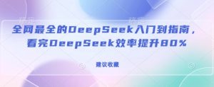 全网最全的DeepSeek入门到指南，看完DeepSeek效率提升80%(建议收藏)--皓收集 | 网创宝典