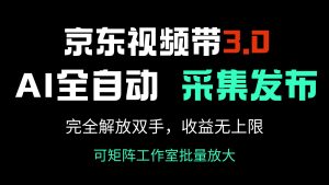 京东视频带货3.0，Ai全自动采集＋自动发布，完全解放双手，收入无上限… --皓收集 | 网创宝典