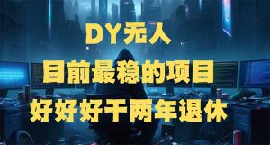 DY无人，目前最稳的项目，矩阵放大边旅游边赚钱，好好好干两年退休--皓收集 | 网创宝典