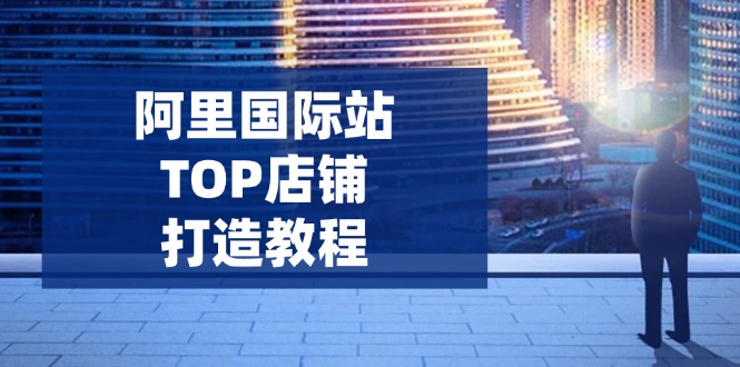 阿里国际站TOP店铺打造教程：涵盖平台到高阶，解决运营难题，提升询盘-皓收集 | 网创宝典