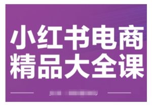 小红书电商精品大全课，快速掌握小红书运营技巧，实现精准引流与爆单目标，轻松玩转小红书电商(更新2月)--皓收集 | 网创宝典