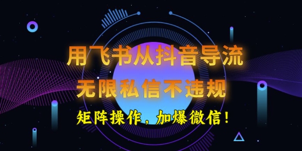 用飞书从抖音导流，无限私信不违规，抖音截流创业粉-皓收集 | 网创宝典