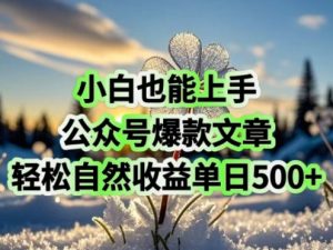 小白也能上手，公众号爆款文章，轻松自然流收益单日5张--皓收集 | 网创宝典